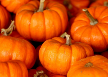 Abóbora: Benefícios, Efeitos Colaterais e Recomendações