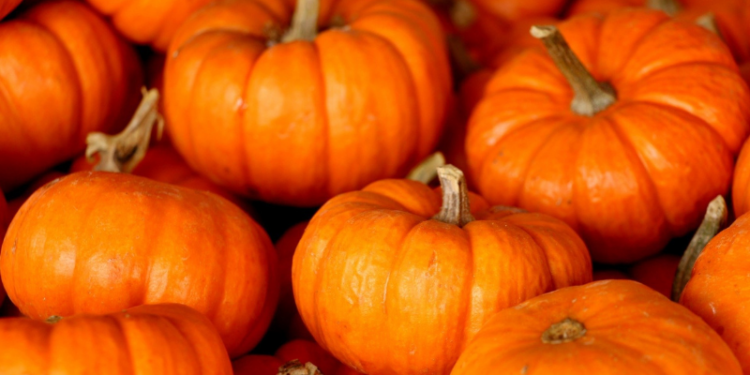 Abóbora: Benefícios, Efeitos Colaterais e Recomendações