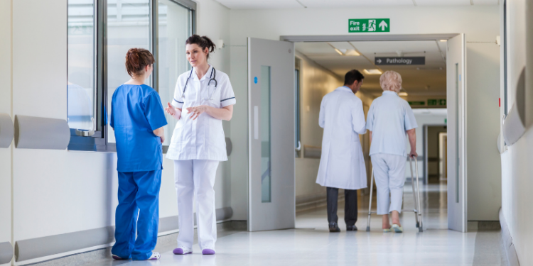 Hospital Nipo Brasileiro: Análise dos serviços e especialidades