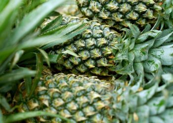 Abacaxi benefícios para o homem