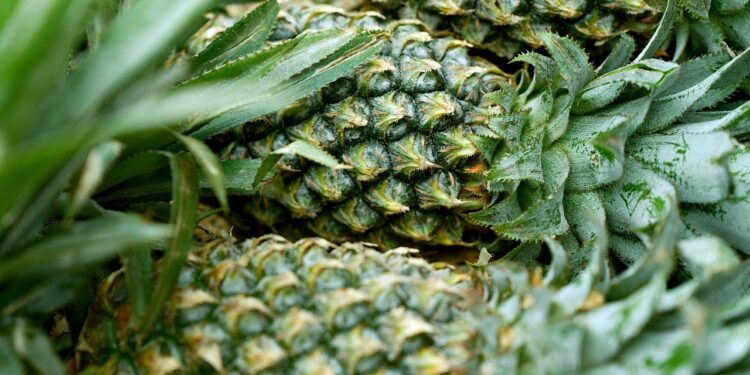 Abacaxi benefícios para o homem