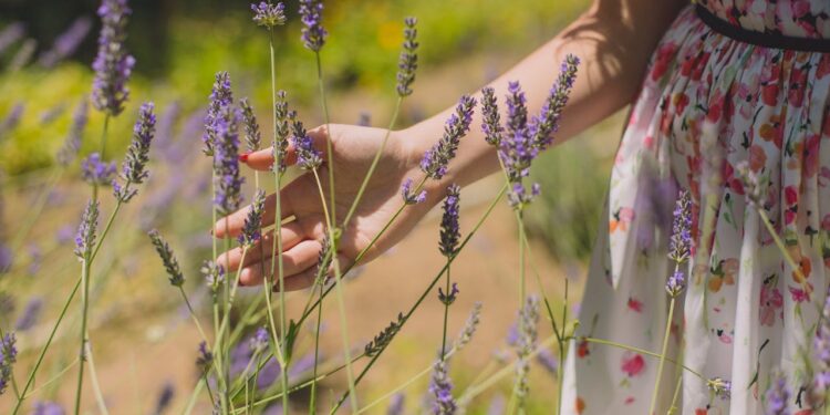 Antialérgicos naturais
