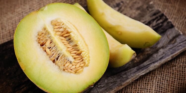 Benefícios do melão para o útero