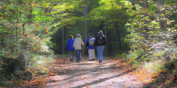 Caminhada durante a gestação