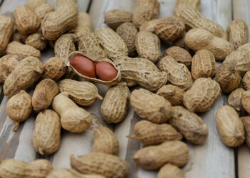 Benefícios do amendoim com casca para a saúde e o bem-estar