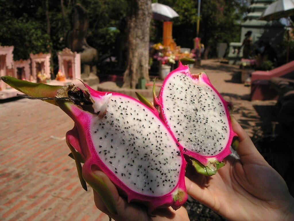 Benefícios da Pitaya