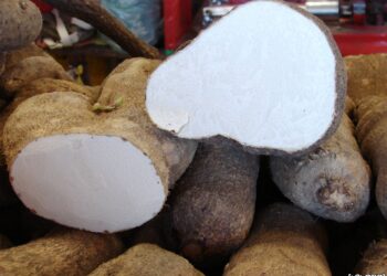 Inhame é carboidrato