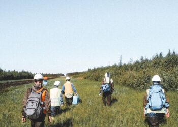 Blanket Fidelity Bond: O Que É e Como Funciona um Blanket Fidelity Bond