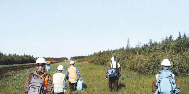 Blanket Fidelity Bond: O Que É e Como Funciona um Blanket Fidelity Bond