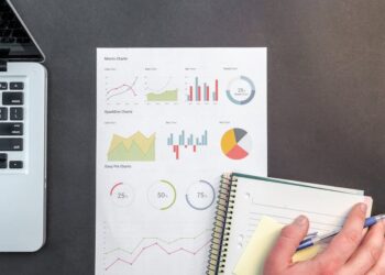 Atuária em Seguros: O que Você Deve Saber