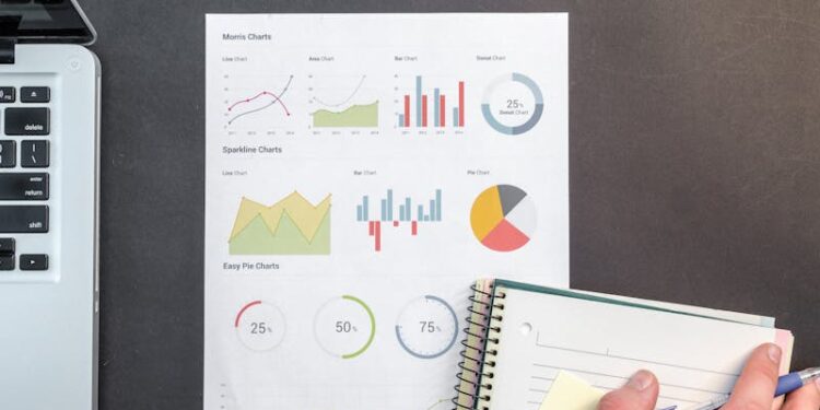 Atuária em Seguros: O que Você Deve Saber