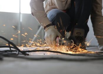 Atividade Laborativa Principal e Seguros de Vida