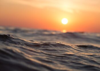 Ambiente e Seus Efeitos nos Seguros