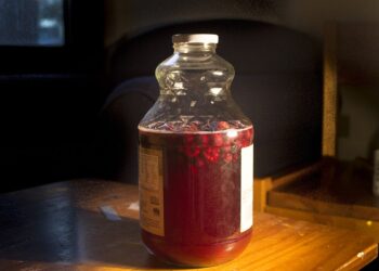 Benefícios da kombucha