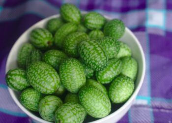 Benefícios do maxixe