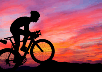 Qual o melhor seguro para bicicleta em 2025? Veja comparativo entre as principais seguradoras